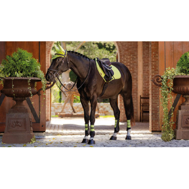 LeMieux Wildleder Close Contact Schabracke LeMieux Wildleder Close Contact Schabracke