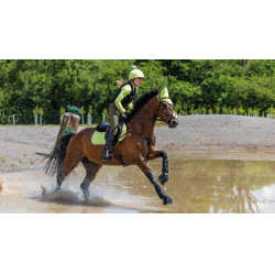LeMieux Wildleder Close Contact Schabracke LeMieux Wildleder Close Contact Schabracke