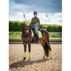 LeMieux Suede Dressur Schabracke Kiwi Khaki