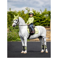 LeMieux Suede Jump Square Mini Schabracke Chilli altes Modell