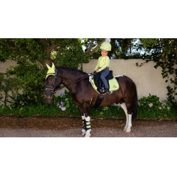 LeMieux Suede Jump Square Mini Schabracke Kiwi Khaki