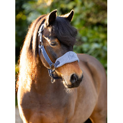 Schafhalfter Vogue Mini LeMieux mit Führstrick Schafhalfter Vogue Mini LeMieux mit Führstrick