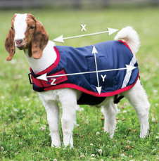 Abbildung der Größentabelle für Haustiere Horseware