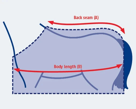 Abbildung der Größentabelle für Pferdedecke Weatherbeeta