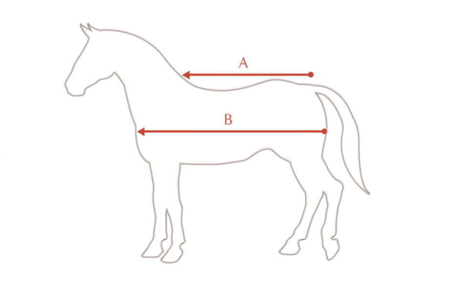 Abbildung der Größentabelle für LeMieux Decke LeMieux