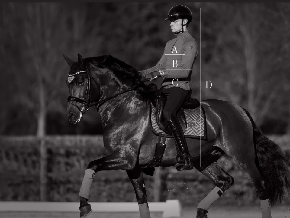 Abbildung der Größentabelle für Polos, T-Shirts und Hemden Equestrian Stockholm
